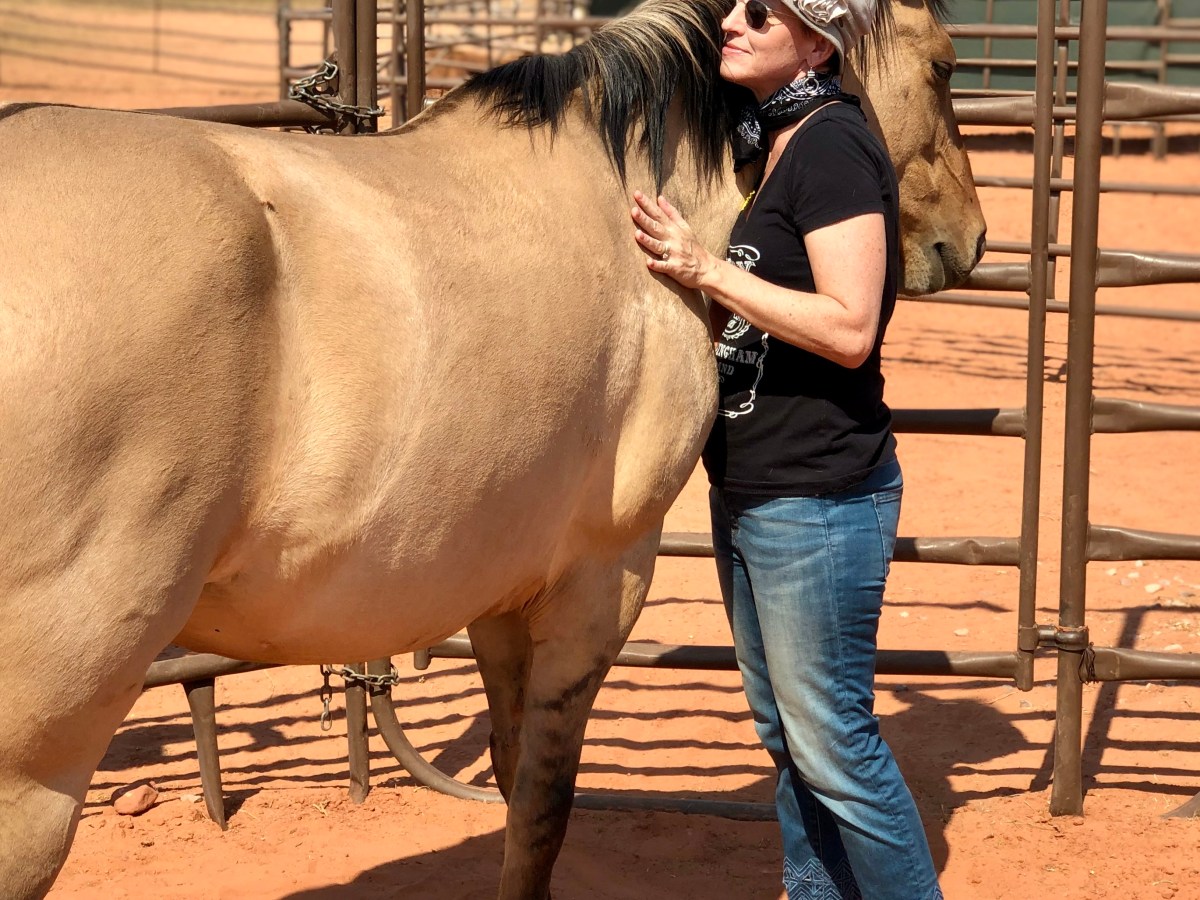 Connecting & Healing with&nbsp;Horses